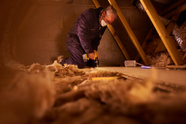 Best Commercial Insulation Services  in Hinckley, MN